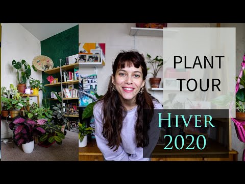 , title : 'PLANT TOUR HIVER 2020 : + DE 70 PLANTES DANS MON SALON'