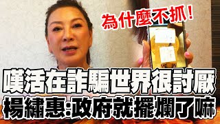 Re: [新聞] 台灣變｢詐騙之島｣是誰害的?數據揭賴政府