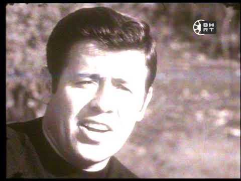 Salko se Vija Previja - Meho Puzic