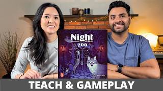 Night at the Zoo video thumbnail