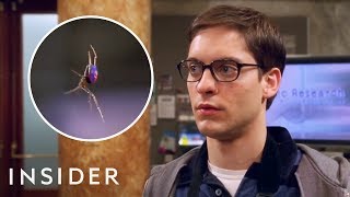 How Bugs Are Trained For TV And Movies | Movies Insider