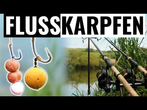 2025 TIPPS zum Karpfenangeln am Fluss - KARPFENANGELN an der Donau