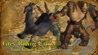 6.2.0 Reins of The Grey Riding Camel Technique Guide WoW