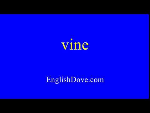 How to pronounce vine in American English.