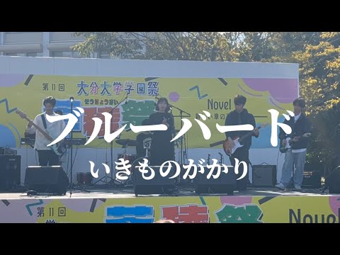 ブルーバード / いきものがかり【cover】