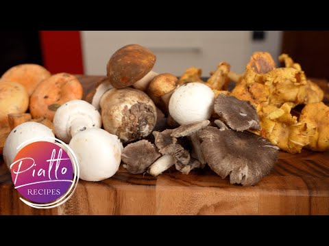How to Clean Mushrooms Before Cooking | Button (Champignon), Porcini, Chanterelle, Red Pine