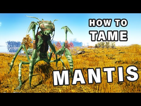 How to Tame a Mantis ► Ark Survival Evolved