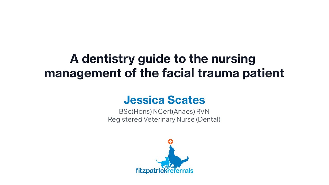 How to manage facial trauma in veterinary dentistry: A guide for RVNs | Fitzpatrick Referrals