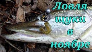 Ловля щуки на жерлицы в конце ноября