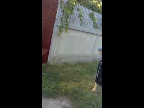 fratesti descindere cu politia