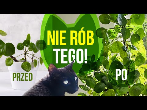 Pieniążek. Nie rób mu tego!