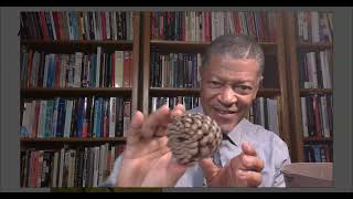 Pineal Gland Power: Neuromelanin and Ancient Wisdom