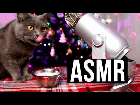 ASMR 😱 КОШКА ПРОБУЕТ АСМР В ПЕРВЫЙ РАЗ! 💤 ASMR CAT Eating, Licking, Purring