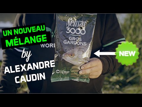 Zanęta Sensas 3000 Gros Gardons Noire 1kg film wideo