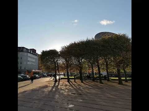 qhor - street lights