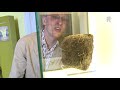 Natuurhistorisch onthult 'De drol van Ramon' (en hij stinkt niet)