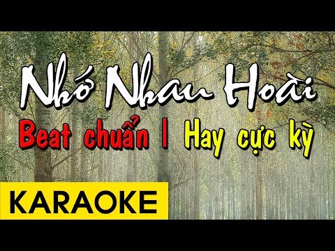 Nhớ Nhau Hoài - Karaoke Beat Chuẩn Hay