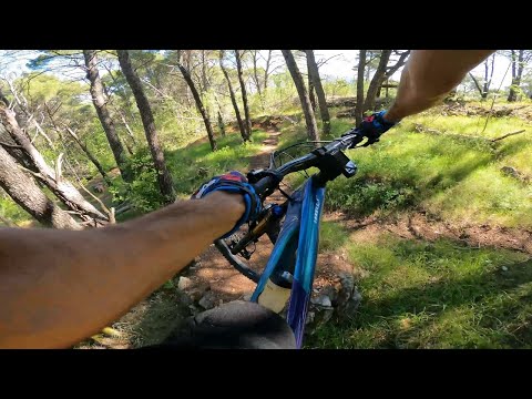 Pisak MTB Enduro trails - Giant Trance X Advanced Pro 0
