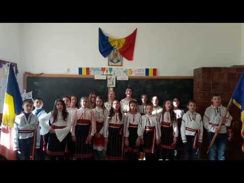 ASA-I ROMANUL  -  SCOALA GIMNAZIALA BOZIENI