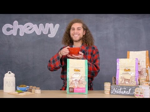 Nutro Cat Food | Chewy