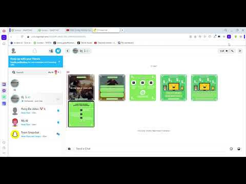 SurveyJ-Proof Of Snapchat
