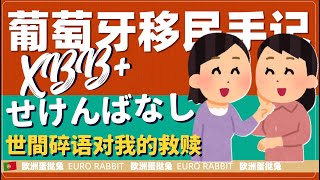 蛋挞兔|XBB 葡萄牙房产和移民手记 那些世間碎语（せけんばなし）对我的救赎「葡萄牙Portugal」