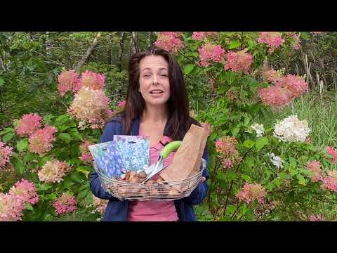 Pest-Resistant Bulbs / Des bulbes qui résistent aux ravageurs