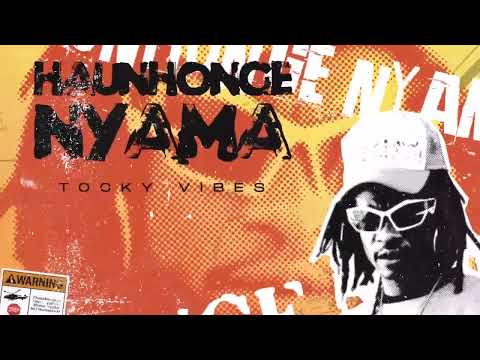 Tocky Vibes - Enjoyer ft. Shonaboi (Official Audio)