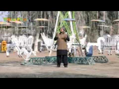 dil allah allah karda