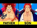 52 Secrets You DIDN T Know About One Piece