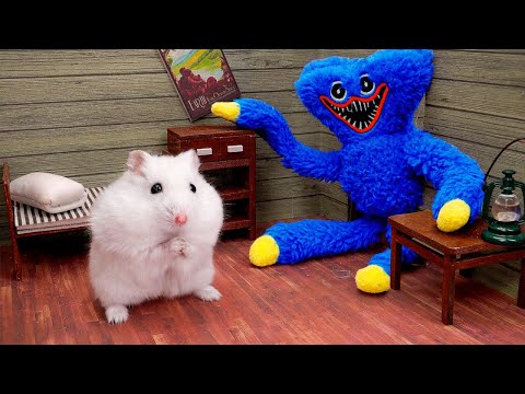 Hamster Escape The Monster Maze in real life 🐹 With Huggy Wuggy