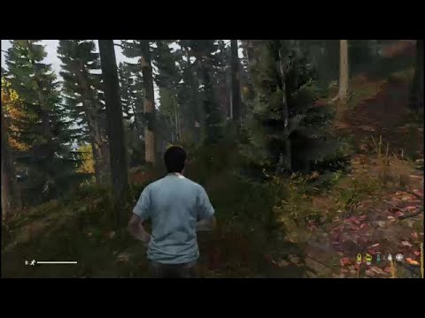 DayZ Überleben Xbox Game Pass Ultimate Xbox one EibeAssassin89