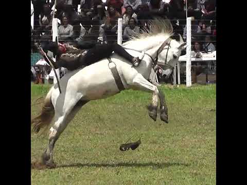 Grupas del Domingo BIEN CURTIDO en la Final de Villaguay Entre Rios