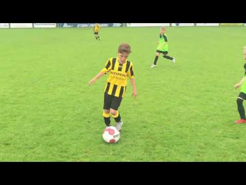 OFC F1 6 x 1 Grünenbaum