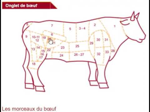 Les Parties Et Morceaux Du Boeuf!