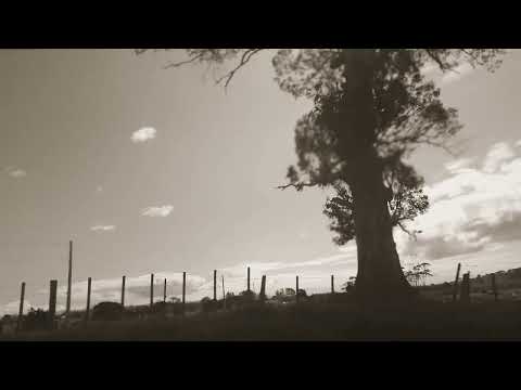 Pink Floyd Poles Apart 2022 Auckland New Zealand Extended triple mix. All rights reserved.