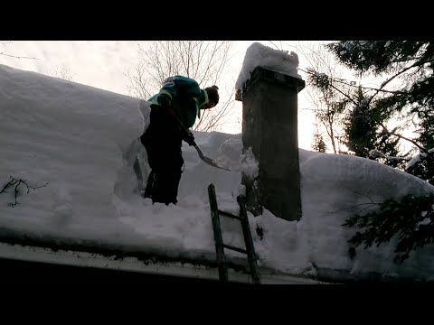 The Woodpecker Cottage March 2020