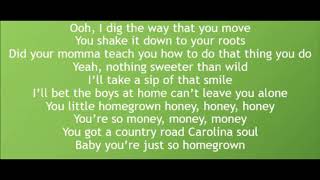 Homegrown Honey - Darius Rucker (Lyrics)