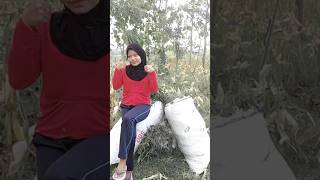 Download lagu STORY WA CEWEK NGARIT mantap mp3