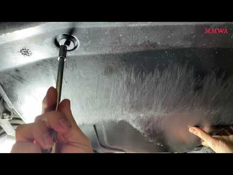 Blue 300E - Transmission service