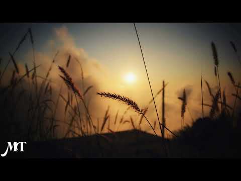 Mellomaniac | DJ Shah | Relaxing Music | 1 Hour Loop