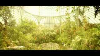 Theme of A Nation, Ayumi Hamasaki