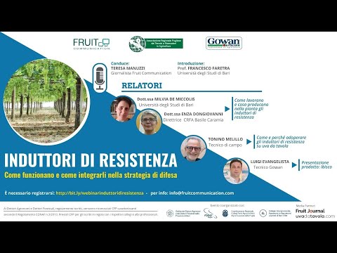 Induttori di resistenza: come funzionano e come integrarli nella strategia di difesa