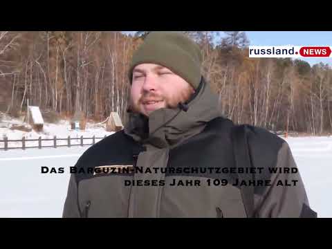 Das Barguzin Naturschutzgebiet wird dieses Jahr 109 Jahre alt