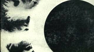 Bauhaus - Silent Hedges