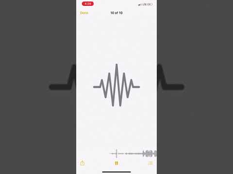 FBN Flat - CheatCode DaLife