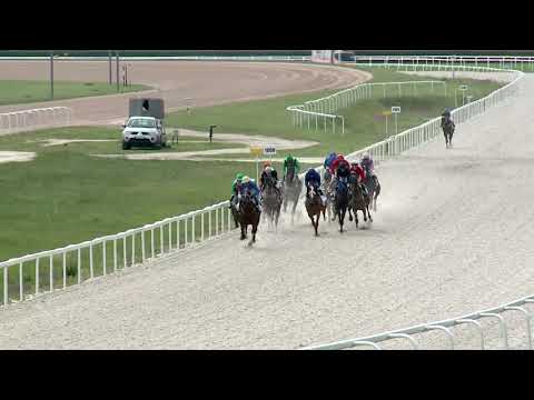 2019.05.19. 08. futam - IMREMAJORI HENDIKEP (V/b.) (szintetikus pálya)