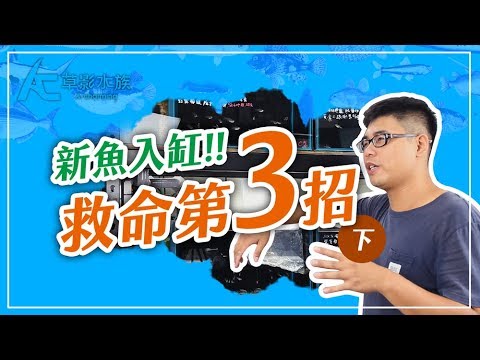 養魚對水