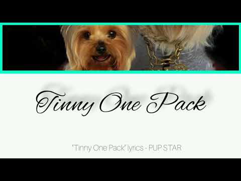 "Tinny One Pack" lyrics - PUP STAR