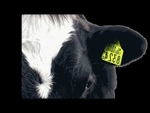 Hilltree - Constipation Cow  [Techno Track]